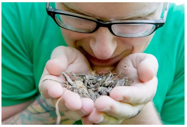 How the Emotions of Others Influence Our Olfactory Sense neurosciencenews.com/olfaction-emot… via <a href="/NeuroscienceNew/">Neuroscience News</a>