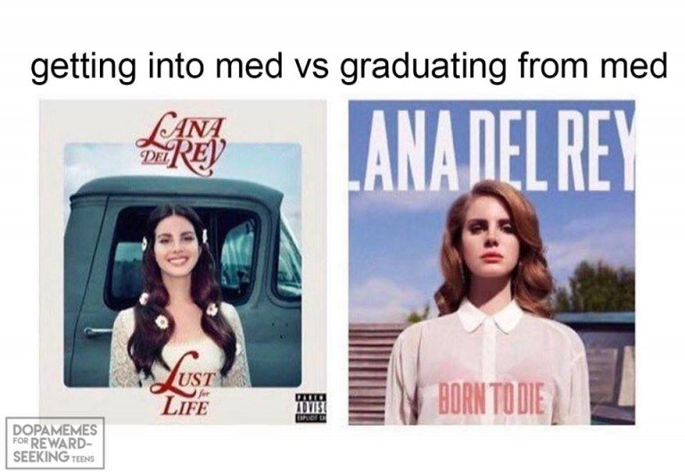 MyFirstCadaver's tweet photo. Anybody else feel like this?? #WednesdayWisdom #LanaDelRey #medschool https://t.co/FdWWRdnVpc