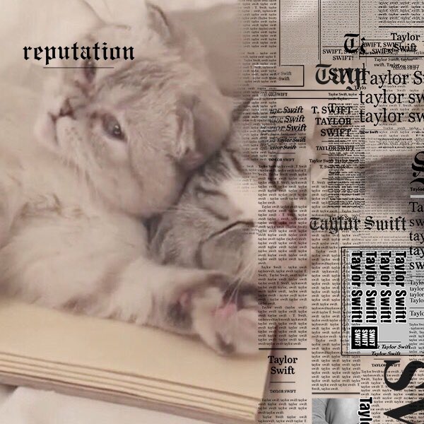 We don’t like your little games, but we do like awesome Facebook frames😎 Add the #reputation frame to your pic here: taylor.lk/reputationframe