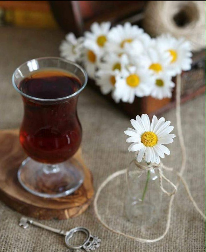 OkurGonul's tweet photo. Bir bardak çay neler yapmaz'ki.
Dertler düğümü çözer.
Sevgiye anahtar.
Mutluluğa çiçekler açtırır..
Daha napsın dimi usta...😊 https://t.co/xu2HOj6NLb