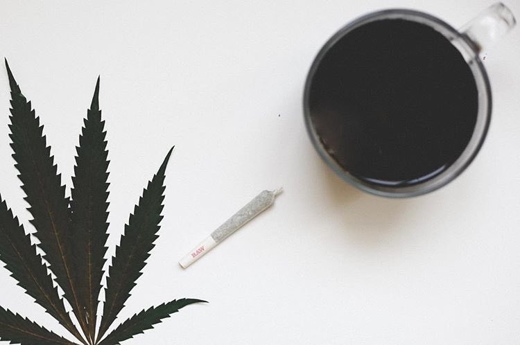 You can find me drinking all the coffee + smoking all the joints today ☕️💨#thiscannabislife