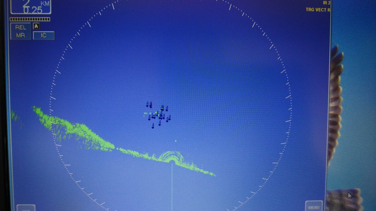 Today about 700 #raptors migrated at the Strait of Messina passing very high over our #radar station #birdmigration #ornithology