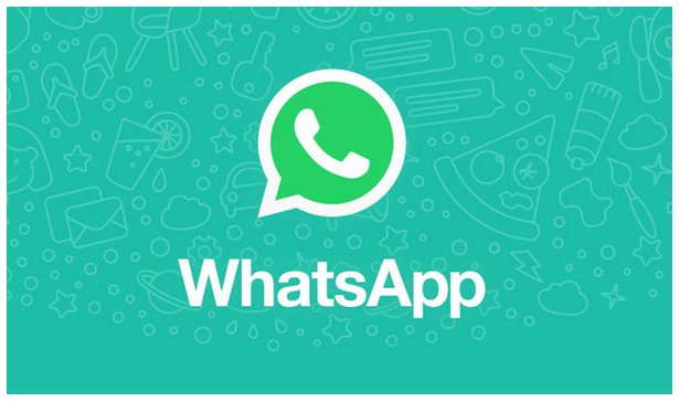 PlugIn_Com's tweet photo. #WhatsApp empieza a verificar perfiles de empresas en su #app https://t.co/hw6LcYmvBR https://t.co/3I8NPUk9GW