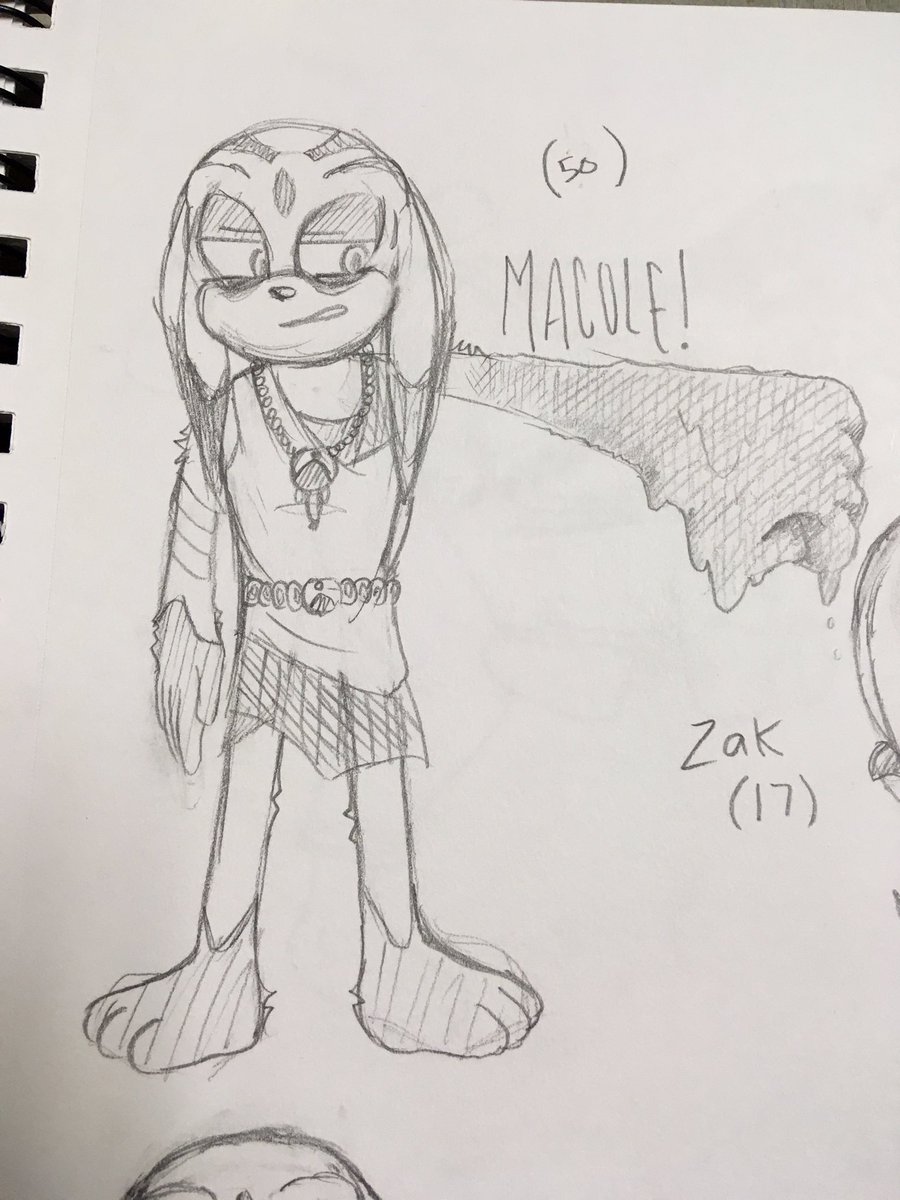 Some Sonic OCs I revisited in 16' 