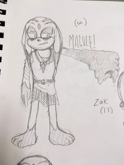 Some Sonic OCs I revisited in 16' 