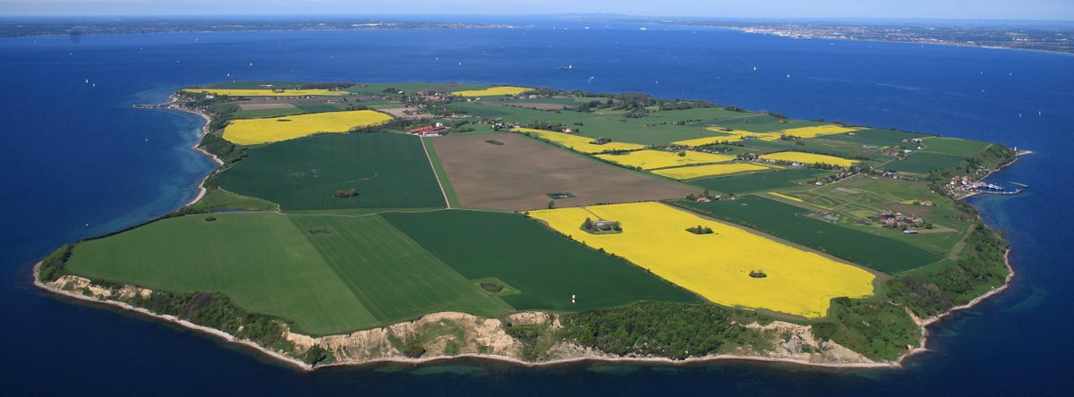 Senterparty's tweet photo. Vi tar en Sylvi, og er på safari i Sverige! Vi ser på det nedlagte landbruket.
Så gjengrodd kan det bli med EU og sentralisering! https://t.co/XCf4wtsXpO