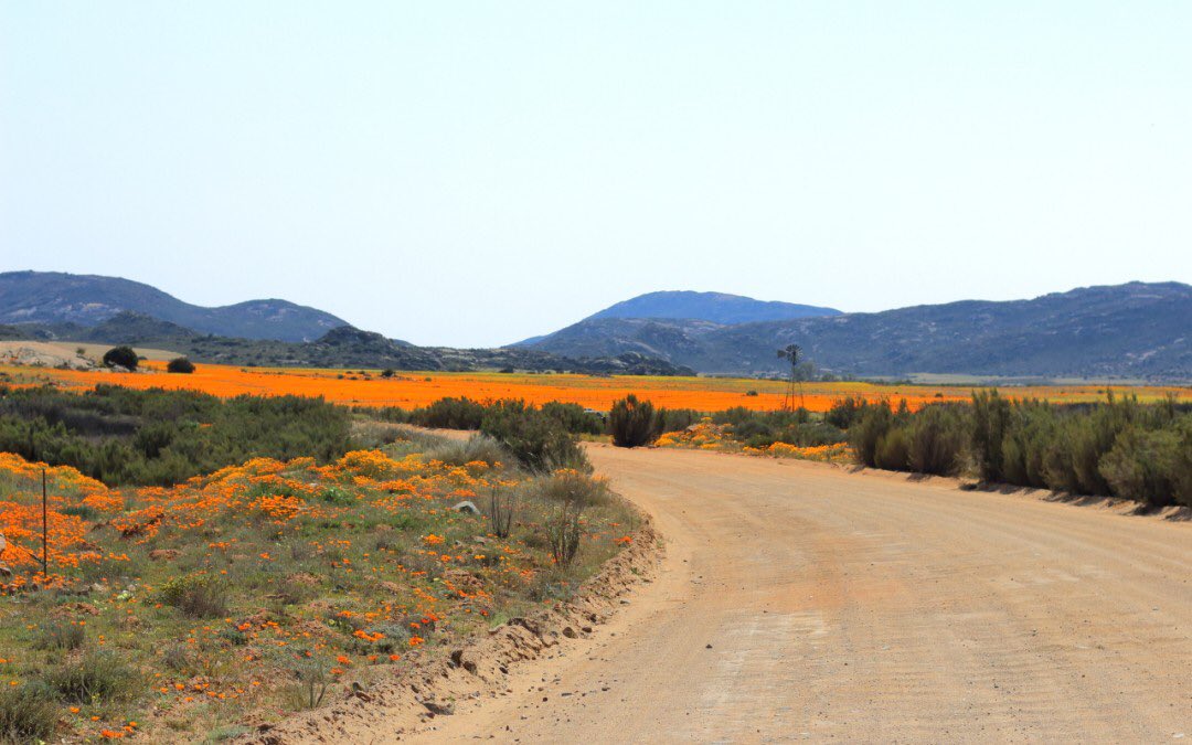 A4: Just keep on visiting and don't stay away! They need your support now more than ever. #TravelChatSA