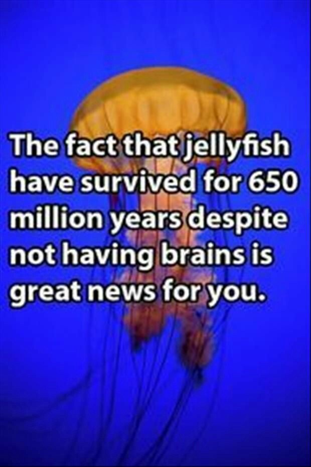 MistressRuby01's tweet photo. #dumbass #mistresshumour #sub https://t.co/KRRlYcGI6p