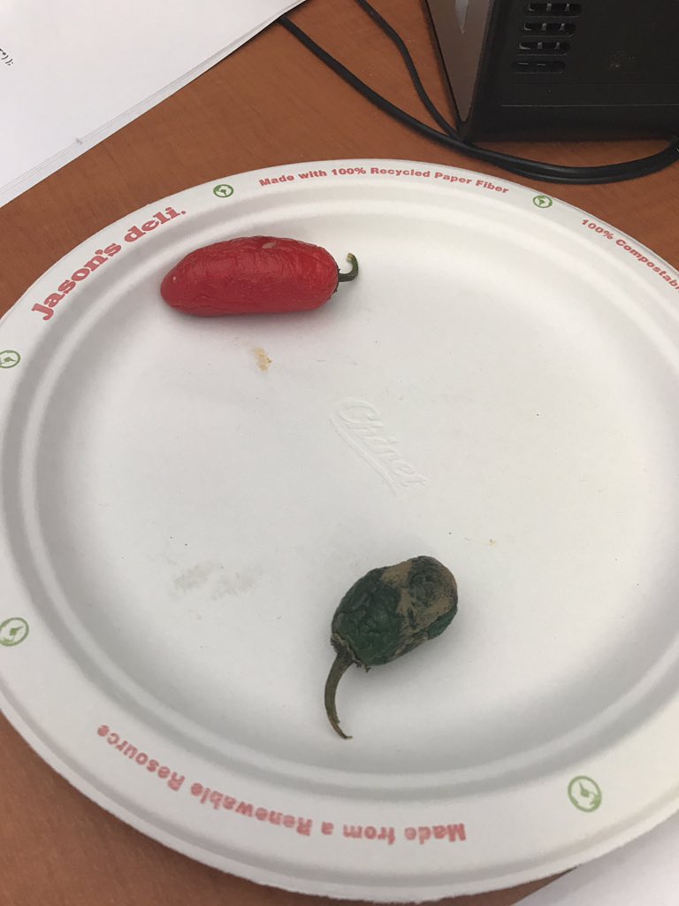 StoneKamino's tweet photo. @MichelleDLesley @RedeemedRags @FanN2Flames Some *ahem* #TexasCandy my wife grew in our garden. Yum! https://t.co/mO2w0FdHLg