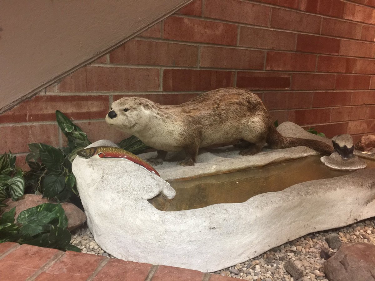 runkendallrun's tweet photo. This has been an otter-ly amazing time of development for our team! Thanks @KettunenCenter!! @MGLVA_HS_Beacon #ItsAlwaysLit https://t.co/9RezpDWOCR