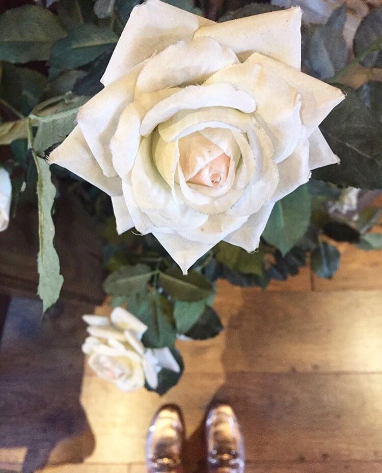 MudPieBeauty's tweet photo. Don't forget to stop and smell the roses! 🌹 #mudpiebeautycottage https://t.co/PyVFzSlLb9