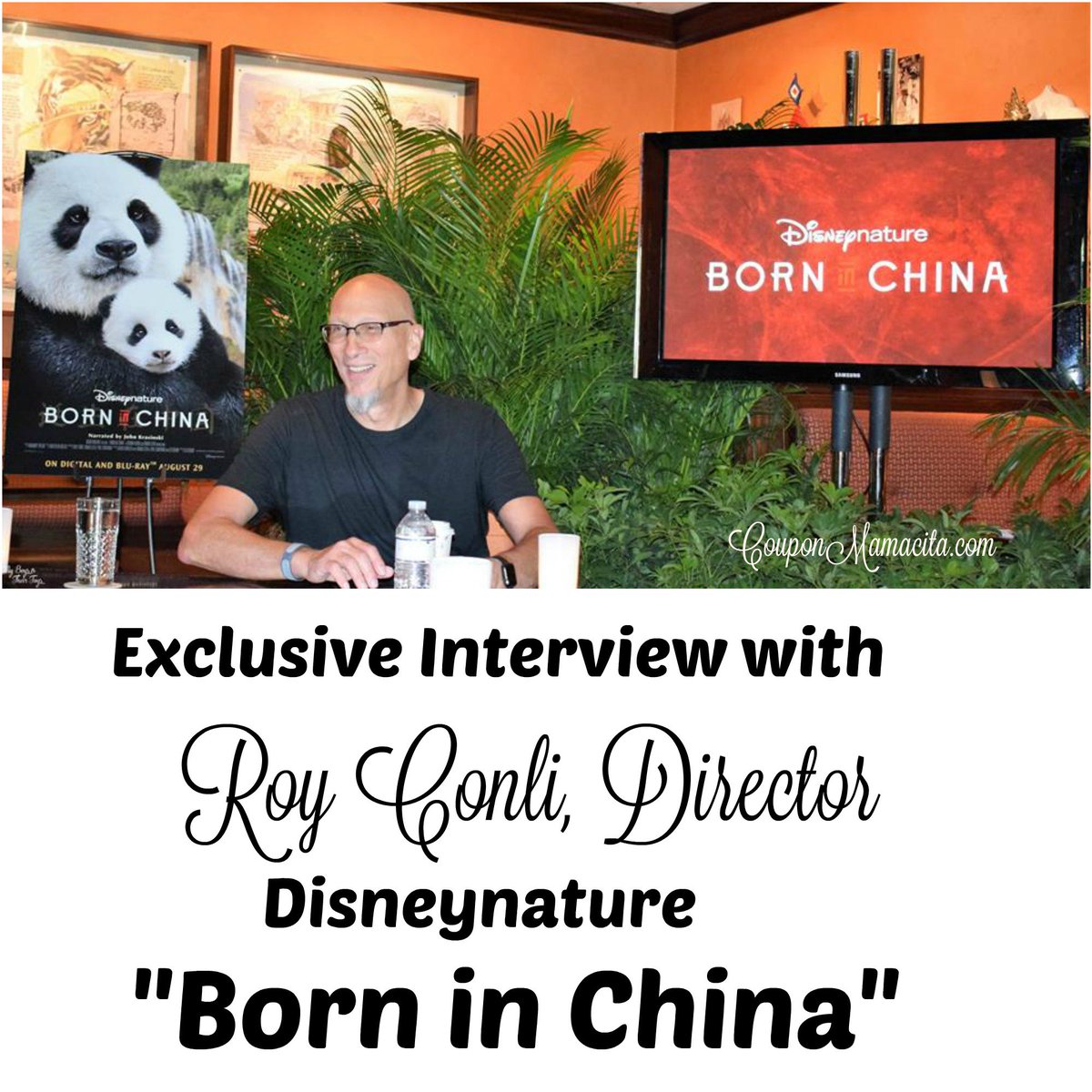 MamacitaOTM's tweet photo. Exclusive Interview w/ #RoyConli, Director #BorninChina @Disneynature @Disney #BornInChinabluray #ad https://t.co/rtFuhzYPq4 https://t.co/aI6rgbpQIf