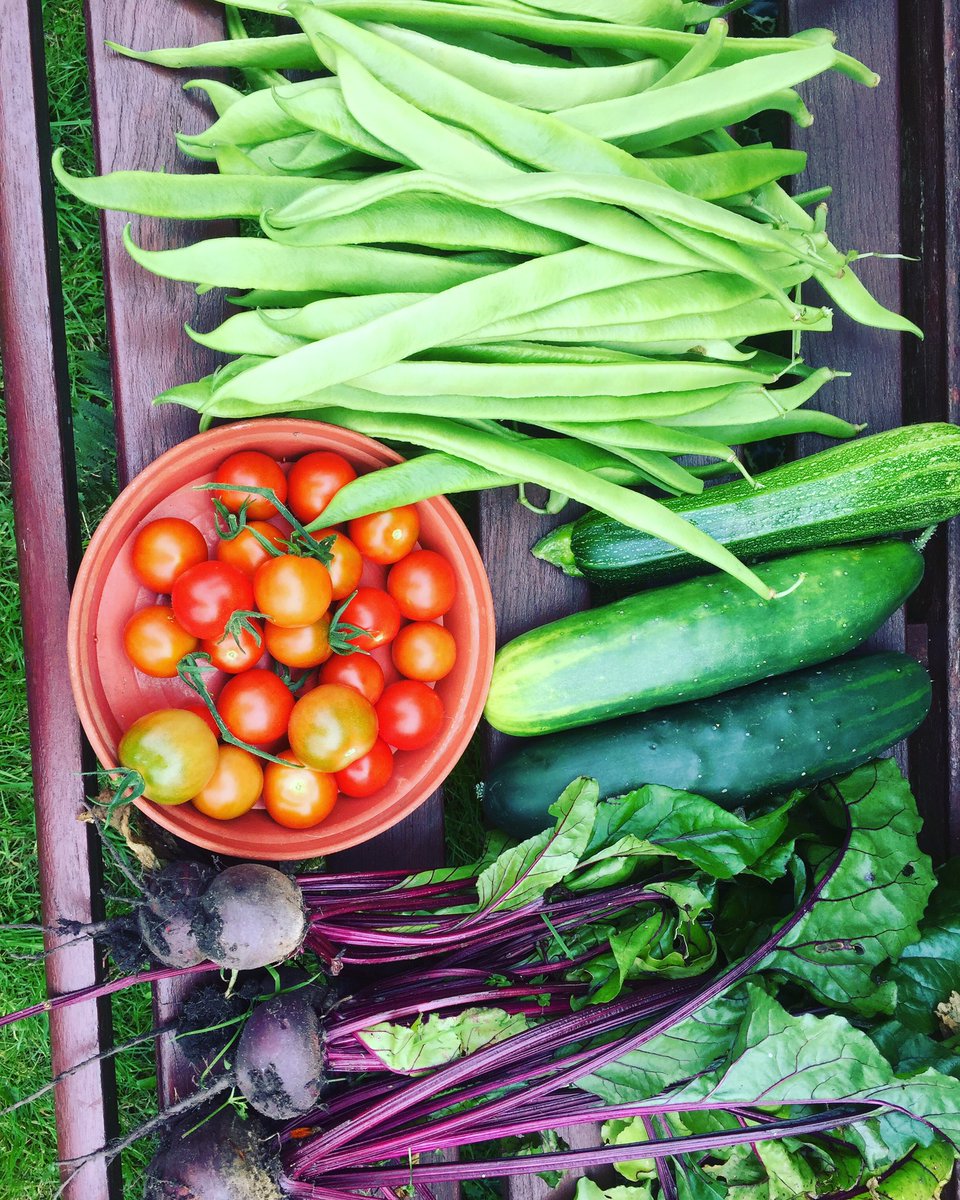 LeithPilates's tweet photo. Great crop today from my @egpgrapevine garden! https://t.co/Oxmsuo1v4m