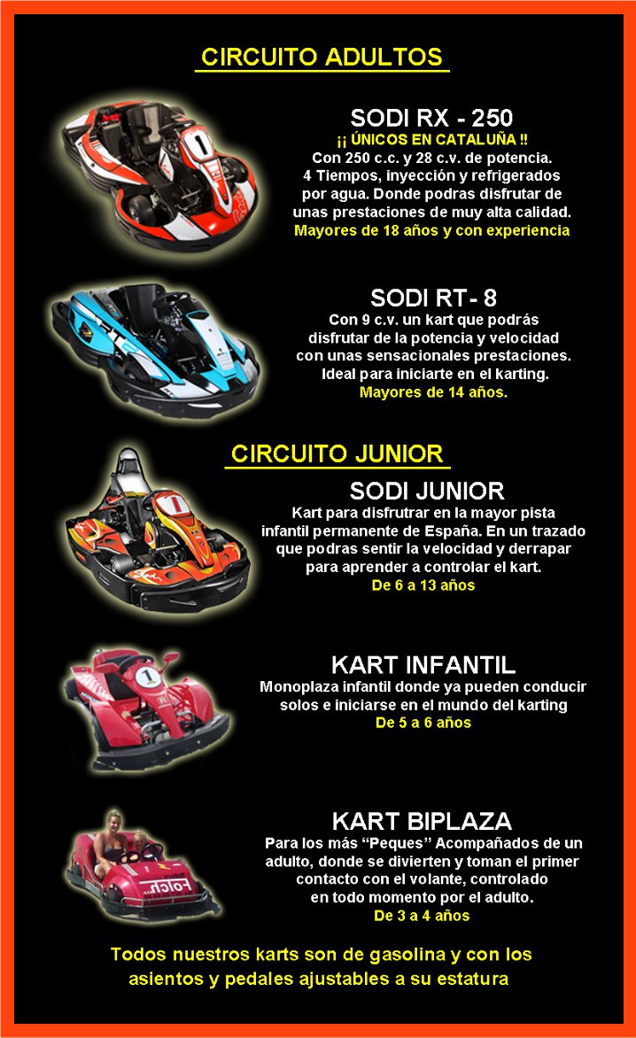Aquí podrás ver nuestros 5 modelos de karts, desde el más potente con 28 C.V.   Hasta los menos potentes para los mas pequeños.