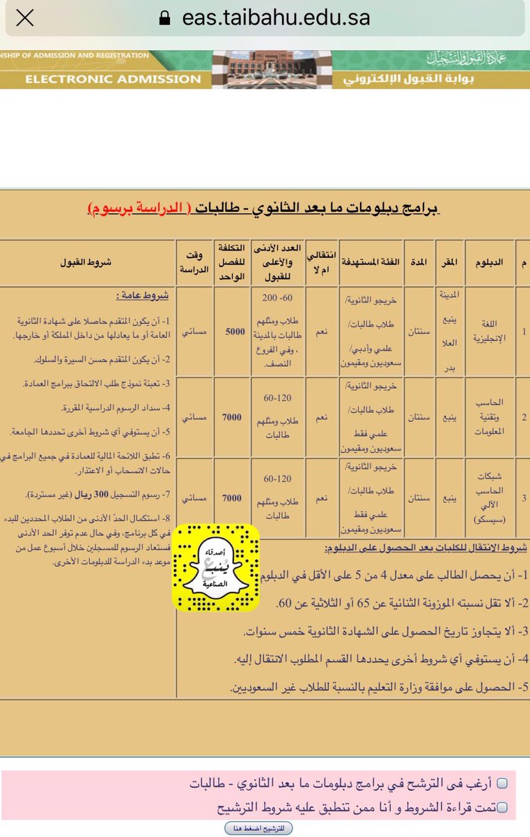 ينبع فرع جامعة طيبه نسبة القبول