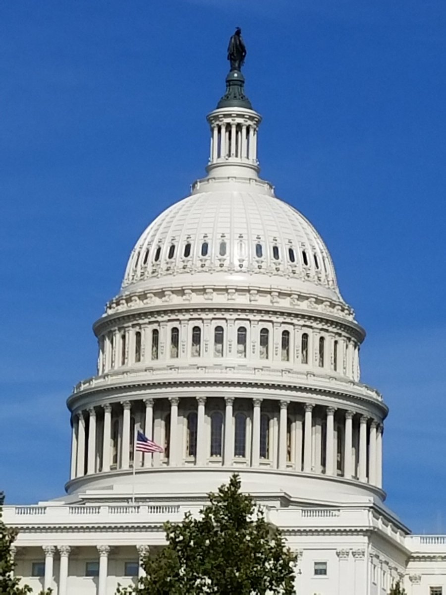 rfduval96's tweet photo. Nice afternoon touring the Capital and Library of Congress. Let's put it this way, Thomas Jefferson liked to read. #specticles https://t.co/fSiLCknL9f