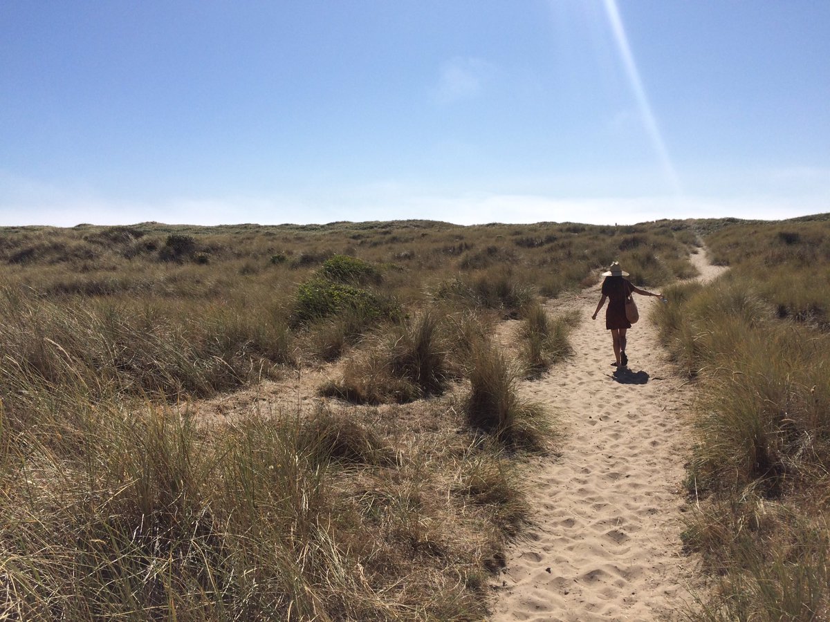 benfffrey's tweet photo. Trying to find the damn Oregon Coast #exploreOR #oregoncoast #southbeach https://t.co/zqKtYwhkv2