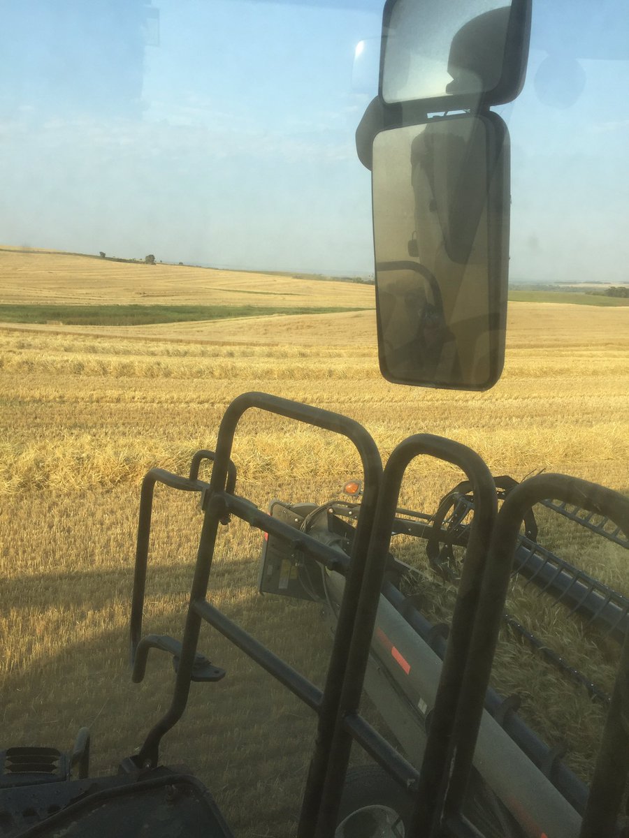 darbyhockey1979's tweet photo. @vbfarms88 @nykoliation @NYKCattle Here I am dropping wheat straw for my cows lol #lookslikework https://t.co/TMU1CxtJrv