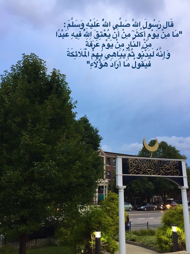 د. علي العمري tweet media