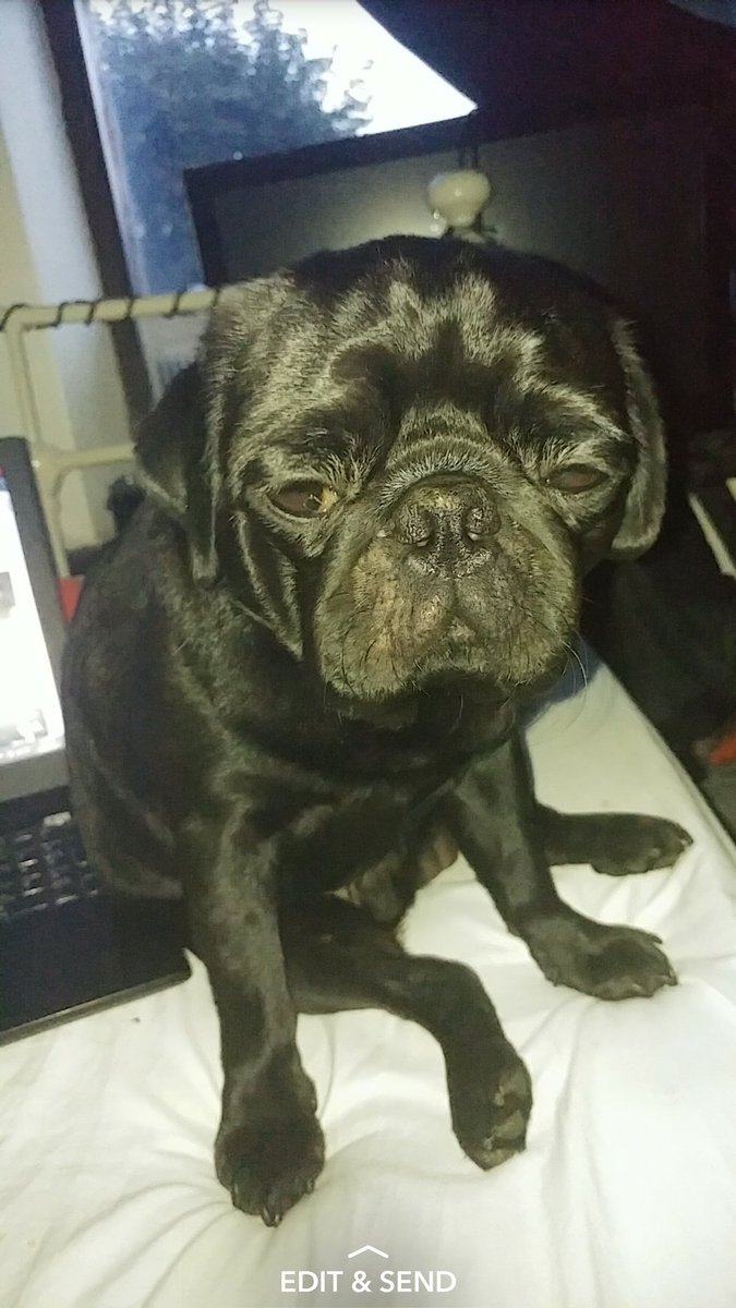 🌌 Lawrence-Aaron 🌌 tweet media