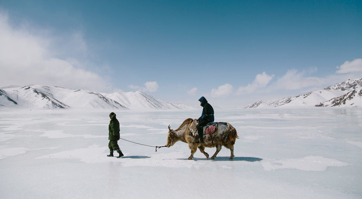 Blake Suarez tweet media