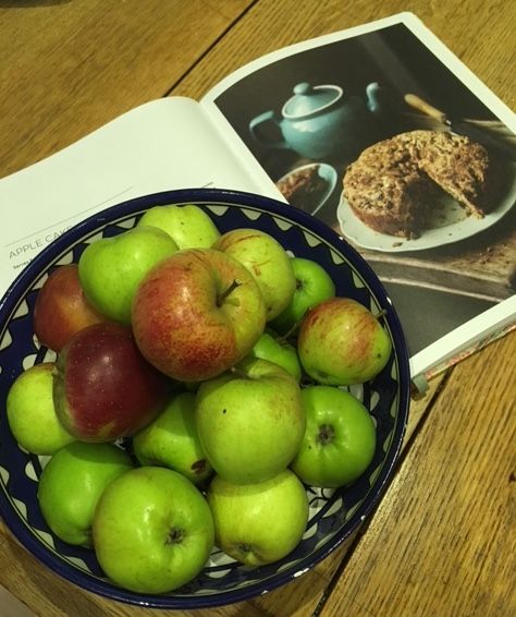 NourishByJane's tweet photo. Look what we picked today! But should we make cake or crumble, bake them or stew them? What would you do… #apples #scrumping #foragedfruit https://t.co/sbJA3Dgdpq