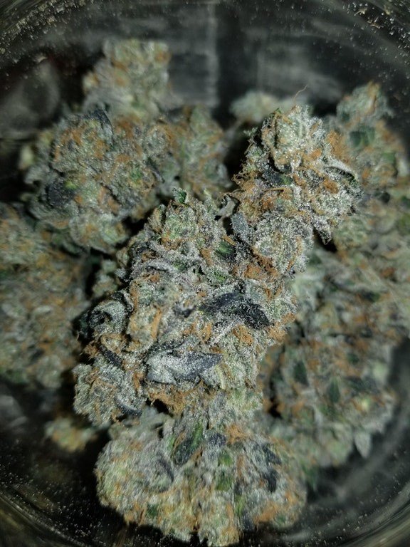 Weedable420's tweet photo. #WSN Community Post of some 🔥👀 indoor hydro Girl Scout Cookies, comment here: https://t.co/5hZsShuHlC #weedable #GSC #strains https://t.co/hcpSi09pHP