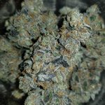 Photo by Weedable® (@Weedable420)