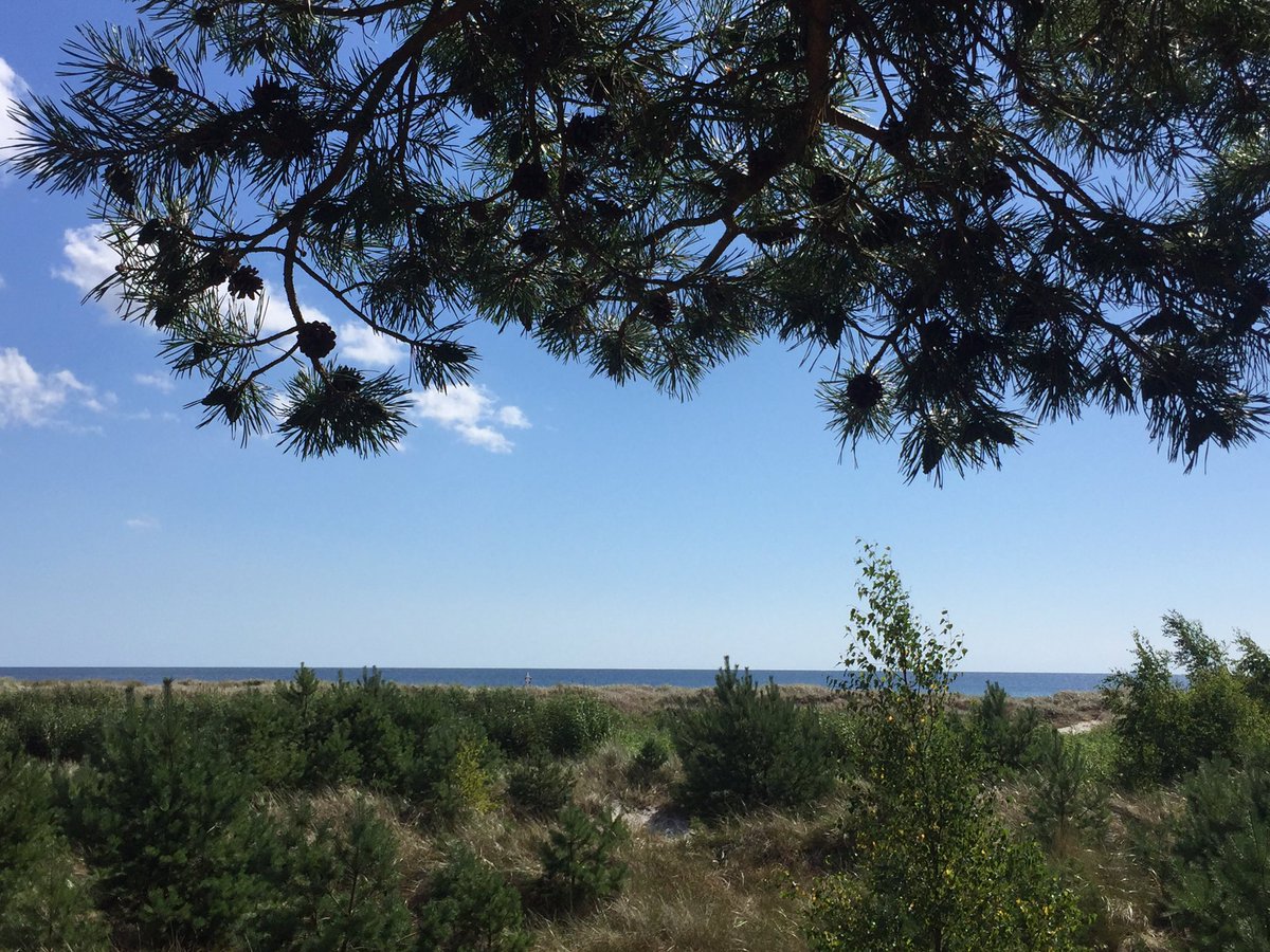 editmiet's tweet photo. #Bornholm #Dueodde #Svaneke #summer #happiness #vacation https://t.co/kjuC02Wfkm