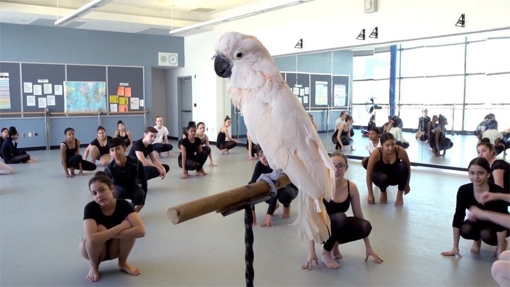 Circular Dislocation: An Interborough Exchange Program | Michael McCanne on on Lenka Clayton and Jon Rubin: bit.ly/2vt79l3