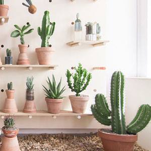 Georges d'AlloCadeau (@allocadeau) on Twitter photo 