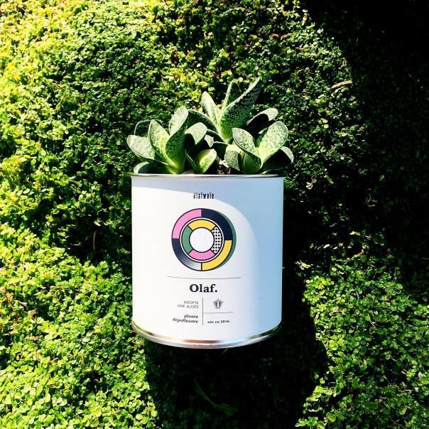 Georges d'AlloCadeau (@allocadeau) on Twitter photo 