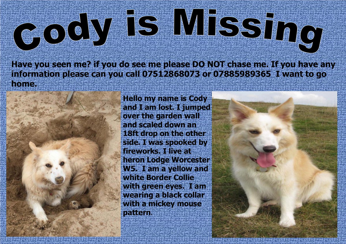 gelert01's tweet photo. NEW INFO REGARDING CODY... spotted causing problems on #Pershore side #M5 at #Junction7 b4 turn #Norton (a #farm nr layby) 🆘DID 'YOU' SEE? https://t.co/4O7Cnk87Wu