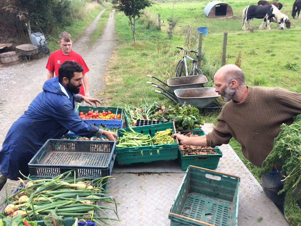 .<a href="/CSANetwork/">CSA Network UK</a> pls share.Cloughjordan CSA lost their barn to fire last week.We're crowdfunding gogetfunding.com/cloughjordanfa…