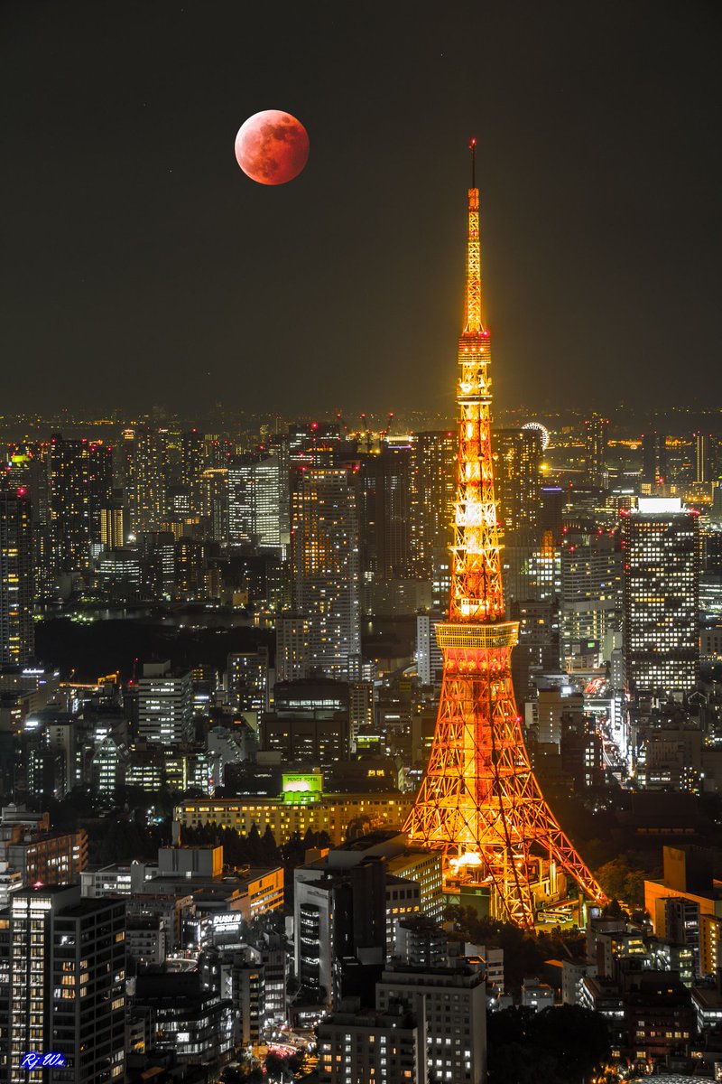 JaponEamigos's tweet photo. Terminamos con esta preciosa luna roja sobre #Tokyo. Oyasumi ^^

Fotógrafo: Rj Wu. 

Fuente: https://t.co/ZGXFwHx74a https://t.co/ZeLIrz93Fn