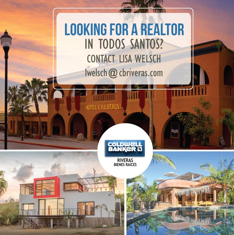 CBRiveras's tweet photo. Looking for a realtor in Todos Santos?
FIND YOUR NEW HOME!
#cbriveras #coldwellbankerriveras #coldwellbankermexico #bajarealtors #realestate https://t.co/cdE7D1YBkz