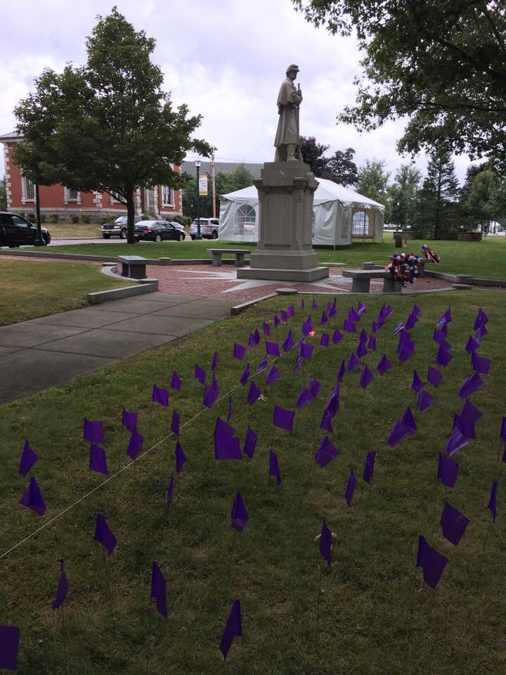 BtreePartnershp's tweet photo. 2,060 purple flags &amp; 9 white flags on the mall@Town Hall to remember those who died from an Overdose in MA &amp; Braintree respectively in 2016 https://t.co/IIiOi8N1xz