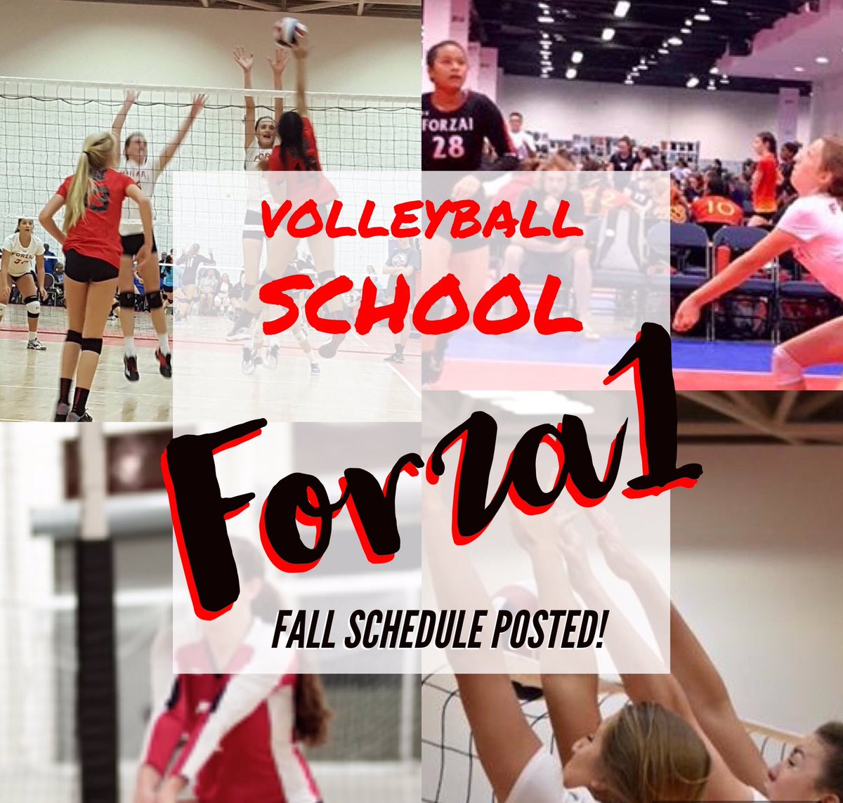 forza1vb's tweet photo. Registration NOW OPEN! Forza1 Volleyball School! Register online #beyourbest #forza1 https://t.co/AL2JEkUXaw