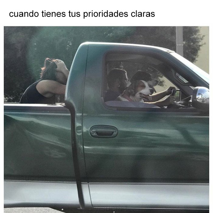yisucrist's tweet photo. rt si perros >>>> humanos https://t.co/fwcQ4fyjej