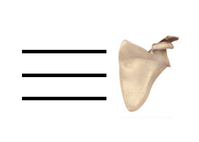 BRXperformance's tweet photo. Hey @Twitter, how many RTs to get this as an emoji? Asking for a friend. #TurboScaps https://t.co/UW2fDo9qr6