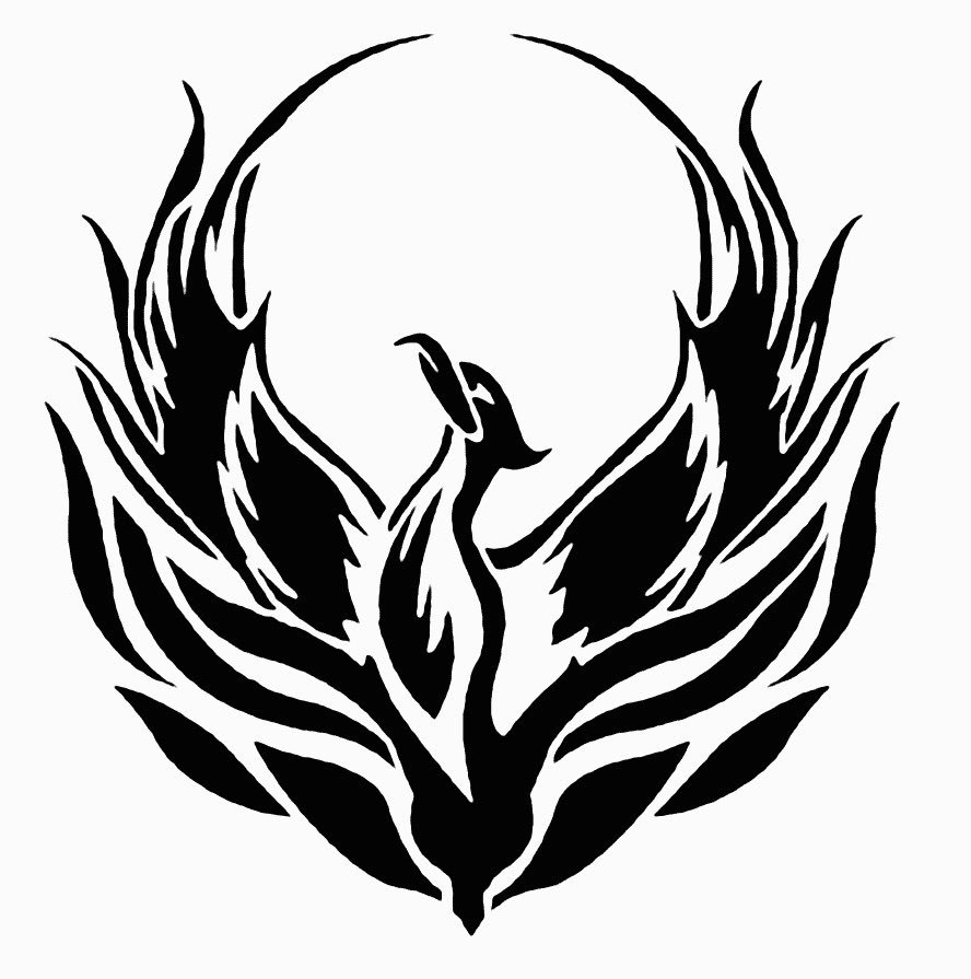 RotherhamBNI's tweet photo. A Phoenix rises from the ashes, its back to business @RotherhamBNI on twitter, watch this space for updates &amp; news @rotherhamis #networking https://t.co/n4HEd1GhUj