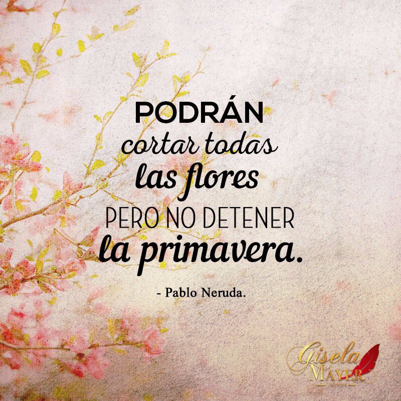almasdesnudasgm's tweet photo. #Poesía #Literatura #Argentina #America #fridakahlo #Giselamayer  #Colombia 📝 https://t.co/jwUw6tSDXu