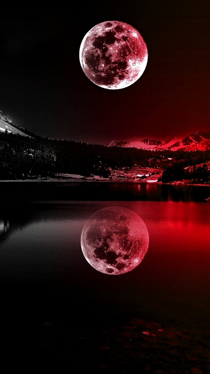 zainoa67's tweet photo. #Red_color https://t.co/QQ3tivLN2x