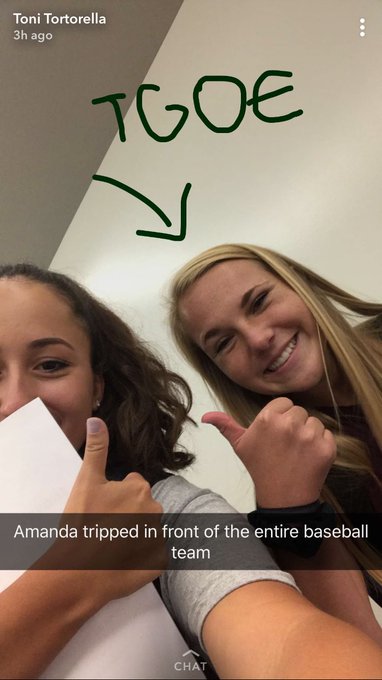 View image on Twitter