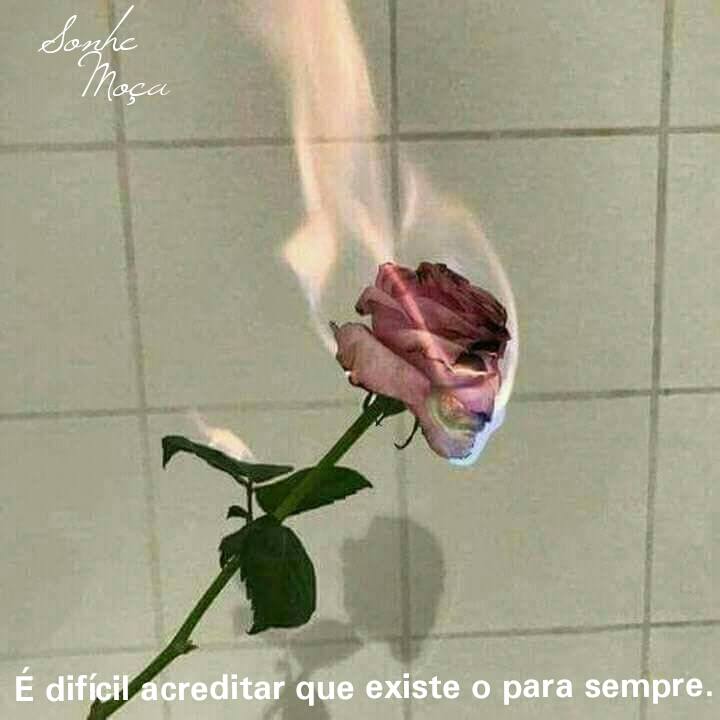 SonheMoca's tweet photo. https://t.co/uQE2GTDDgW