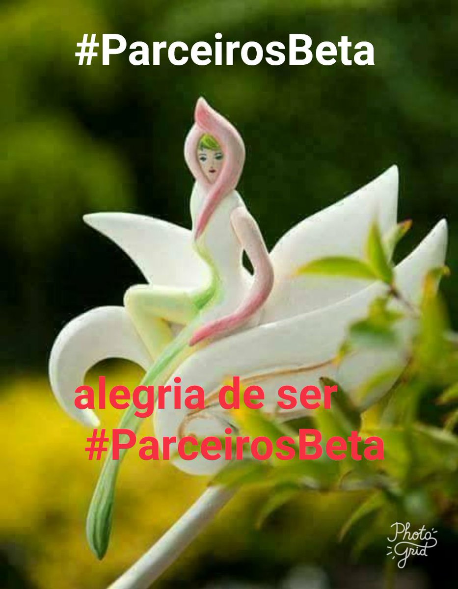 #ParceirosBeta 
BOA NOITE