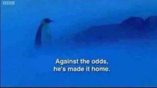 CauseWereGuys's tweet photo. After every time I go out https://t.co/sDsHDt7UGe