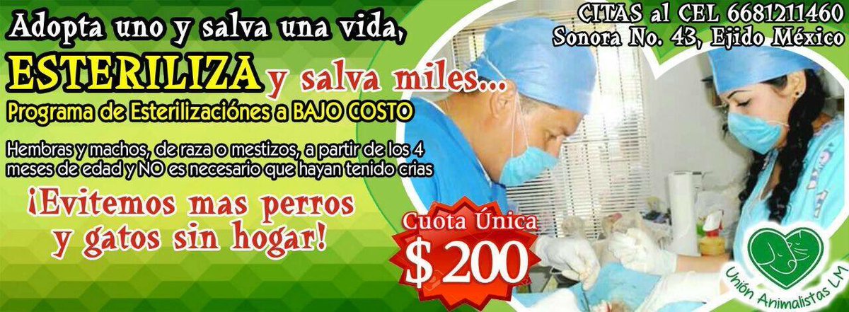 AdopcionesLM's tweet photo. Esterilizaciones a bajo costo en #UnionAnimalista el Sábado 16 de septiembre, Informes al 6681 211460 #LosMochis COMPARTE RT RT 👍🏼 https://t.co/qRjET1VII2