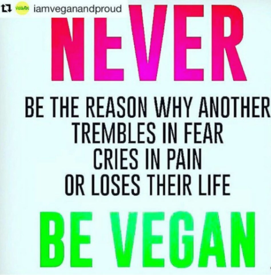 Art Howard_Go_LHS (@arthoward1806) on Twitter photo 