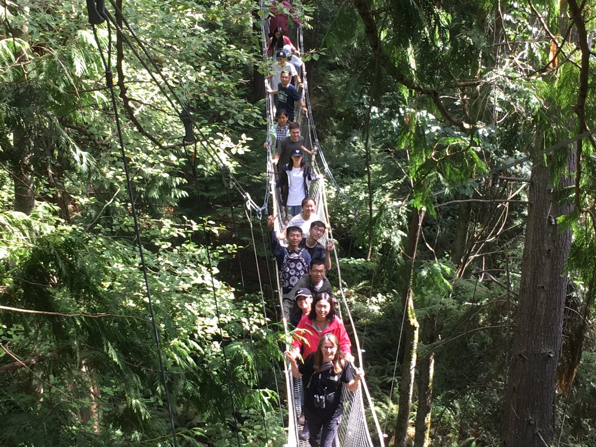 pdculbert_UBC's tweet photo. Enjoying the forest from up high. @ubcforestry @ubctreewalk @ubcgarden #FRST350 https://t.co/W1ggkCt3rq